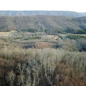 Photo of SOLD!!  74 Acres of Hunting and Recreational Land For Sale in Bland County VA!