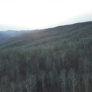 Photo of SOLD!!  74 Acres of Hunting and Recreational Land For Sale in Bland County VA!
