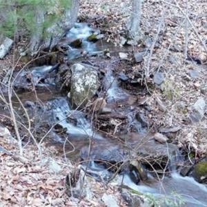 Photo of SOLD!!  74 Acres of Hunting and Recreational Land For Sale in Bland County VA!
