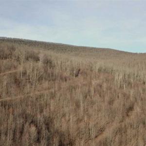 Photo of SOLD!!  74 Acres of Hunting and Recreational Land For Sale in Bland County VA!