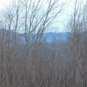 Photo of SOLD!!  74 Acres of Hunting and Recreational Land For Sale in Bland County VA!