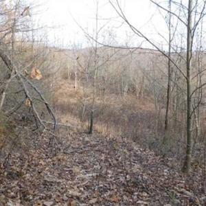Photo of SOLD!!  74 Acres of Hunting and Recreational Land For Sale in Bland County VA!