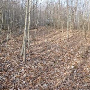 Photo of SOLD!!  74 Acres of Hunting and Recreational Land For Sale in Bland County VA!