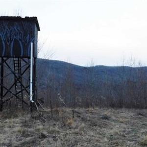Photo of SOLD!!  74 Acres of Hunting and Recreational Land For Sale in Bland County VA!