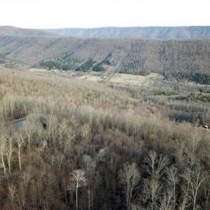 Photo of SOLD!!  74 Acres of Hunting and Recreational Land For Sale in Bland County VA!