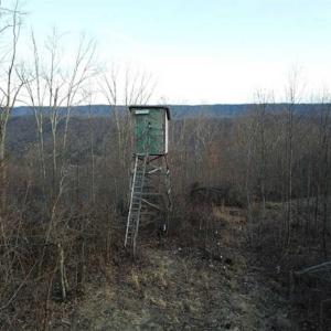Photo of SOLD!!  74 Acres of Hunting and Recreational Land For Sale in Bland County VA!