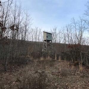 Photo of SOLD!!  74 Acres of Hunting and Recreational Land For Sale in Bland County VA!