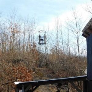 Photo of SOLD!!  74 Acres of Hunting and Recreational Land For Sale in Bland County VA!