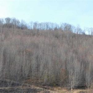 Photo of SOLD!!  74 Acres of Hunting and Recreational Land For Sale in Bland County VA!