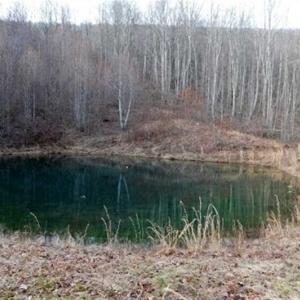Photo of SOLD!!  74 Acres of Hunting and Recreational Land For Sale in Bland County VA!