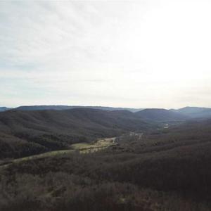 Photo of SOLD!!  74 Acres of Hunting and Recreational Land For Sale in Bland County VA!