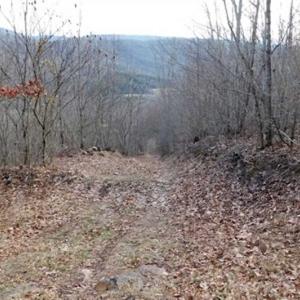 Photo of SOLD!!  74 Acres of Hunting and Recreational Land For Sale in Bland County VA!