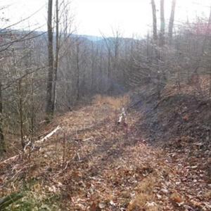 Photo of SOLD!!  74 Acres of Hunting and Recreational Land For Sale in Bland County VA!