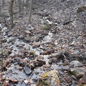 Photo of SOLD!!  74 Acres of Hunting and Recreational Land For Sale in Bland County VA!