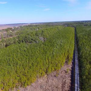 Photo of 27 Acres of  Waterfront Property For Sale in Accomack County VA!