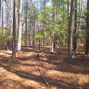 Photo of 27 Acres of  Waterfront Property For Sale in Accomack County VA!