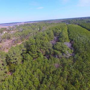 Photo of 27 Acres of  Waterfront Property For Sale in Accomack County VA!