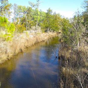 Photo of 27 Acres of  Waterfront Property For Sale in Accomack County VA!