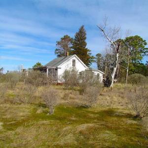 Photo of 27 Acres of  Waterfront Property For Sale in Accomack County VA!