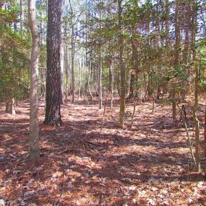 Photo of 27 Acres of  Waterfront Property For Sale in Accomack County VA!