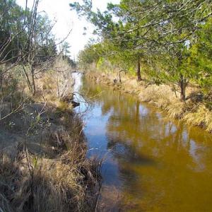 Photo of 27 Acres of  Waterfront Property For Sale in Accomack County VA!