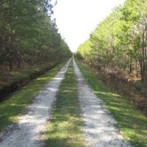 Photo of 27 Acres of  Waterfront Property For Sale in Accomack County VA!