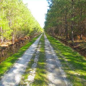 Photo of 27 Acres of  Waterfront Property For Sale in Accomack County VA!