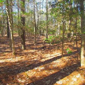 Photo of 27 Acres of  Waterfront Property For Sale in Accomack County VA!