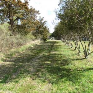 Photo of 27 Acres of  Waterfront Property For Sale in Accomack County VA!