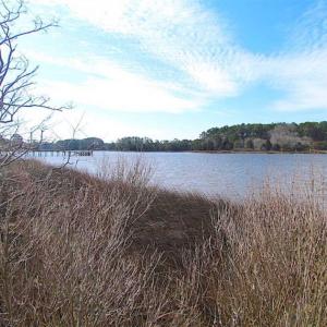 Photo of 27 Acres of  Waterfront Property For Sale in Accomack County VA!