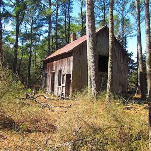 Photo of 27 Acres of  Waterfront Property For Sale in Accomack County VA!