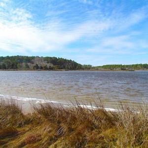 Photo of 27 Acres of  Waterfront Property For Sale in Accomack County VA!