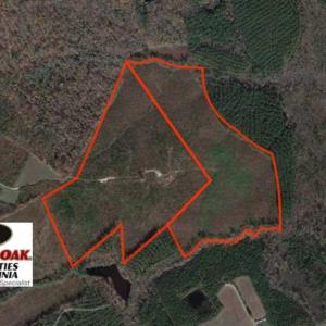 Photo of REDUCED!  103 Acres of Hunting and Investment Land For Sale in Dinwiddie County VA!