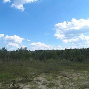 Photo of REDUCED!  103 Acres of Hunting and Investment Land For Sale in Dinwiddie County VA!