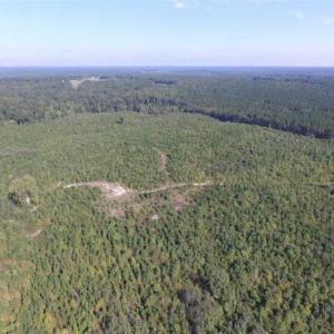 Photo of REDUCED!  103 Acres of Hunting and Investment Land For Sale in Dinwiddie County VA!