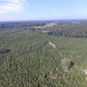 Photo of REDUCED!  103 Acres of Hunting and Investment Land For Sale in Dinwiddie County VA!