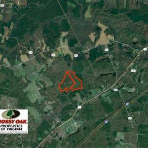 Photo of REDUCED!  103 Acres of Hunting and Investment Land For Sale in Dinwiddie County VA!