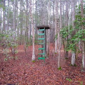 Photo of SOLD!!  13 Acres of Hunting Land For Sale in Northampton County VA!