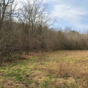 Photo of 20 Ac of Hunting and Farm Land for Sale in Brunswick County VA!