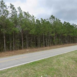 Photo of SOLD!!  24.6 Acres of Hunting and Timber Land For Sale in Pender County NC!