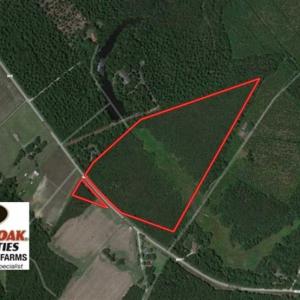 Photo of SOLD!!  24.6 Acres of Hunting and Timber Land For Sale in Pender County NC!