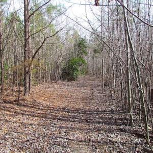 Photo of SOLD!!  49 Acres Overlooking Little Creek Reservoir in James City Co VA!