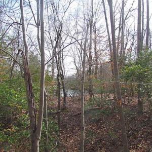 Photo of SOLD!!  49 Acres Overlooking Little Creek Reservoir in James City Co VA!