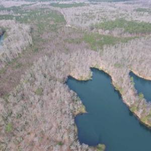 Photo of SOLD!!  49 Acres Overlooking Little Creek Reservoir in James City Co VA!