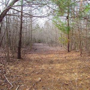 Photo of SOLD!!  49 Acres Overlooking Little Creek Reservoir in James City Co VA!