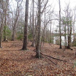 Photo of SOLD!!  49 Acres Overlooking Little Creek Reservoir in James City Co VA!