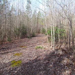 Photo of SOLD!!  49 Acres Overlooking Little Creek Reservoir in James City Co VA!