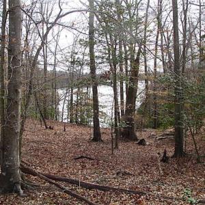 Photo of SOLD!!  49 Acres Overlooking Little Creek Reservoir in James City Co VA!