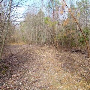 Photo of SOLD!!  49 Acres Overlooking Little Creek Reservoir in James City Co VA!