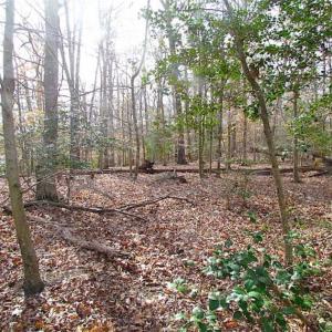 Photo of SOLD!!  49 Acres Overlooking Little Creek Reservoir in James City Co VA!